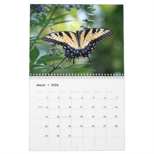 Schmetterlingskalender 2023 kalender (Mär 2026)