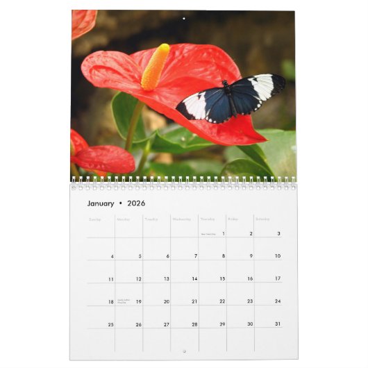 Schmetterlingskalender 2023 kalender (Jan 2026)