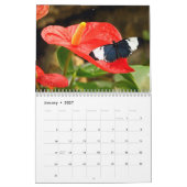 Schmetterlingskalender 2023 kalender (Jan 2027)