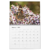 Schmetterlingskalender 2026 kalender (Feb 2027)