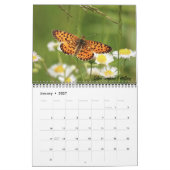 Schmetterlingskalender 2026 kalender (Jan 2027)