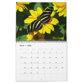 Schmetterlingskalender 2026 kalender (Mär 2026)