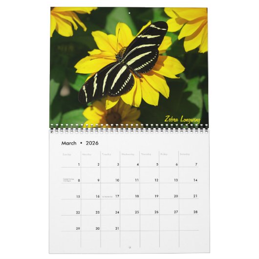 Schmetterlingskalender 2026 kalender (Mär 2026)