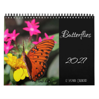 Schmetterlingskalender 2027 kalender