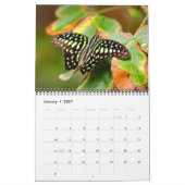 Schmetterlingskalender 2027 kalender (Jan 2027)