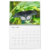 Schmetterlingskalender 2027 kalender (Mär 2027)