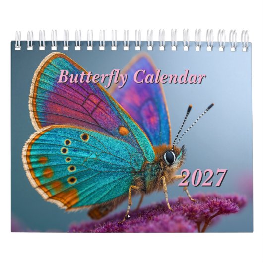 Schmetterlingskalender 2027 kalender (Titelbild)