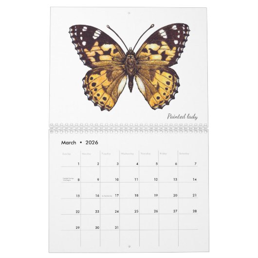 Schmetterlingskalender Kalender (Mär 2026)