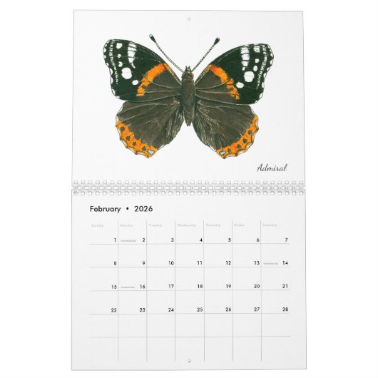 Schmetterlingskalender Kalender (Feb 2026)