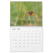 Schmetterlingskalender Kalender (Mär 2027)