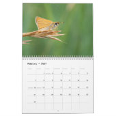 Schmetterlingskalender Kalender (Feb 2027)