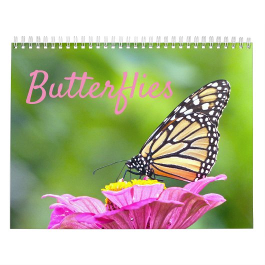 Schmetterlingskalender Kalender (Titelbild)