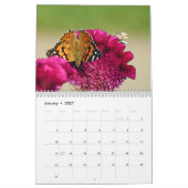 Schmetterlingskalender Kalender (Jan 2027)