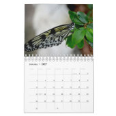 Schmetterlingskalender Kalender (Jan 2027)