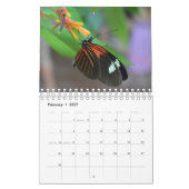 Schmetterlingskalender Kalender (Feb 2027)