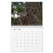 Schmetterlingskalender Kalender (Mär 2027)