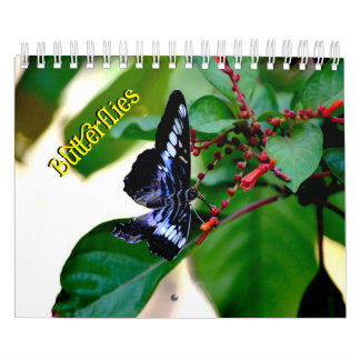 Schmetterlingskalender Kalender
