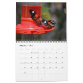 Schmetterlingskalender Kalender (Feb 2027)