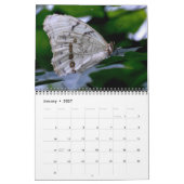 Schmetterlingskalender Kalender (Jan 2027)
