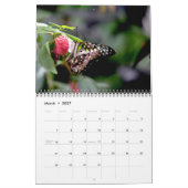 Schmetterlingskalender Kalender (Mär 2027)
