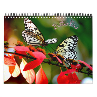 Schmetterlingskalender Kalender