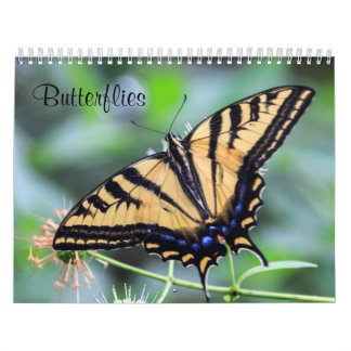 Schmetterlingskalender Kalender