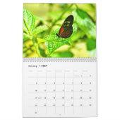 Schmetterlingskalender Kalender (Jan 2027)