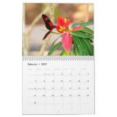 Schmetterlingskalender Kalender (Feb 2027)