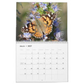 Schmetterlingskalender Kalender (Mär 2027)