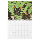 Schmetterlingskalender Kalender (Jan 2027)