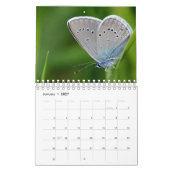 Schmetterlingskalender Kalender (Jan 2027)