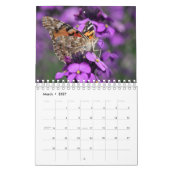 Schmetterlingskalender Kalender (Mär 2027)