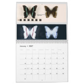 Schmetterlingskalender Kalender (Jan 2027)