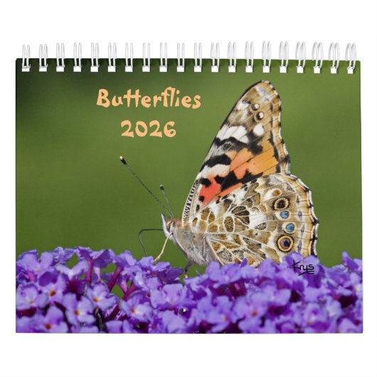 Schmetterlingskalender Kalender (Titelbild)
