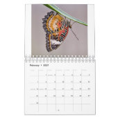Schmetterlingskalender Kalender (Feb 2027)