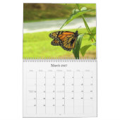 Schmetterlingskalender Kalender (Mär 2027)