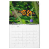 Schmetterlingskalender Kalender (Jan 2027)