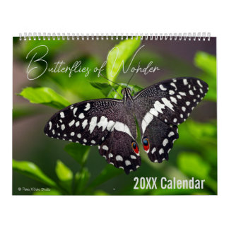 Schmetterlingskalender Wählen Sie Ihren Startmonat Kalender