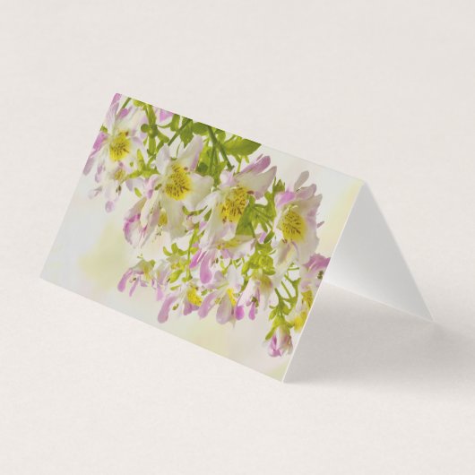 Schmetterlingskarte (Vorderseite)