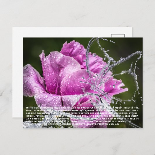 Schmetterlingskarte Feiertagspostkarte (Vorne/Hinten)