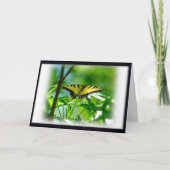 Schmetterlingskarte Karte (Vorderseite)