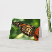 Schmetterlingskarte Karte (Vorderseite)