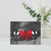 Schmetterlingskarte Postkarte (Stehend Vorderseite)