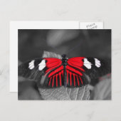 Schmetterlingskarte Postkarte (Vorne/Hinten)