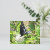 Schmetterlingskarte Postkarte (Stehend Vorderseite)