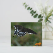 Schmetterlingskarte Postkarte (Stehend Vorderseite)
