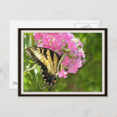 Schmetterlingskarte Postkarte (Vorne/Hinten)