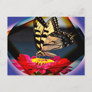 Schmetterlingskarte Postkarte