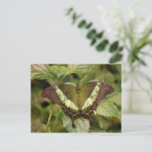 Schmetterlingskarte Postkarte (Stehend Vorderseite)