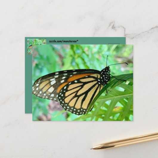 Schmetterlingskarte Postkarte (Vorderseite/Rückseite Beispiel)